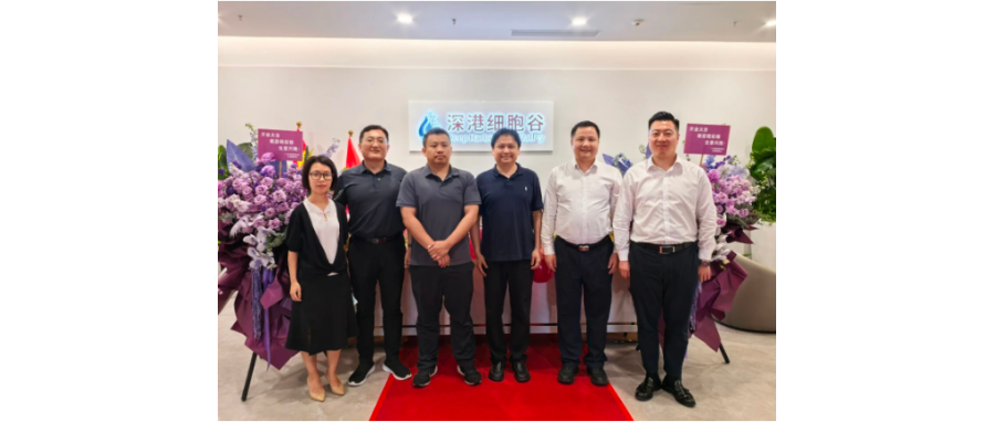 严守质量生命线 赋能产业新未来｜市药械办领导莅临深港k8com官网调研指导