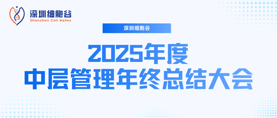 深圳k8com官网召开2025年度中层管理年终总结大会：多点布局成果丰硕，创新驱动快速开展