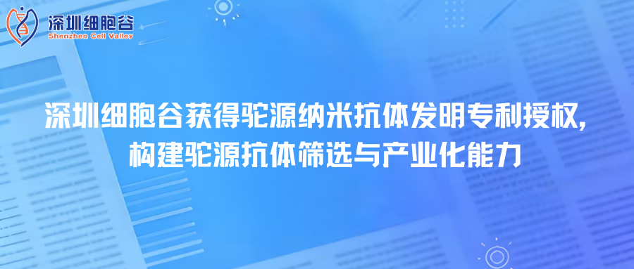 深圳k8com官网取得驼源纳米抗体发明专利授权，构建驼源抗体筛选与产业化能力