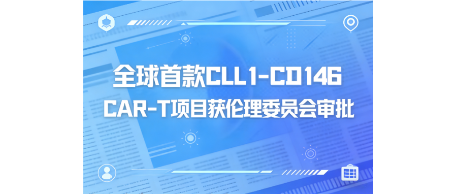 深圳k8com官网携手阎锡蕴院士团队、陆道培医院开创双靶点CAR-T治疗AML临床新突破