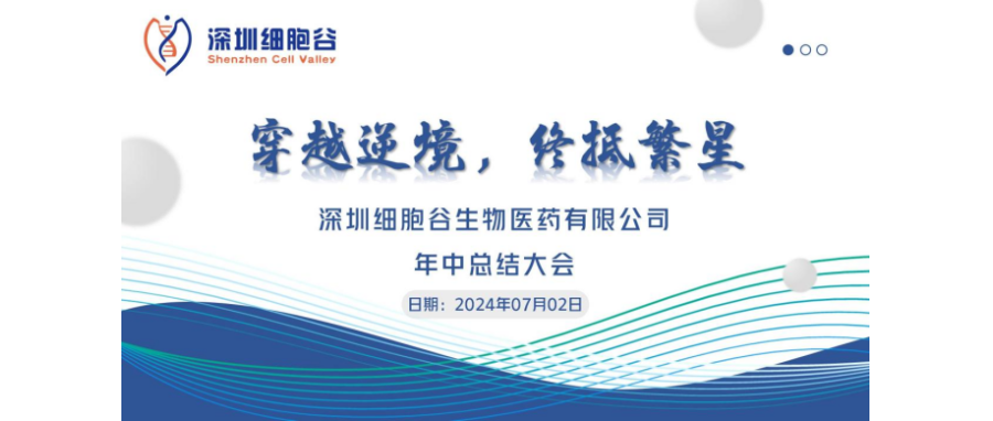 穿越逆境，终抵繁星——深圳k8com官网召开2024年中总结大会