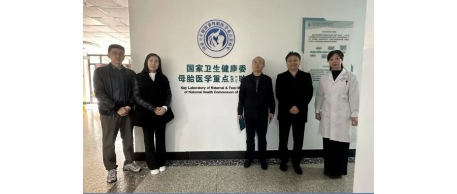 研讨合作｜k8com官网团队访问山东省妇幼保健院，共探妇幼领域细胞治疗创新应用